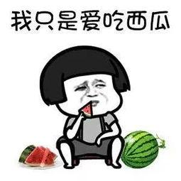 娱乐吃瓜酱求角b